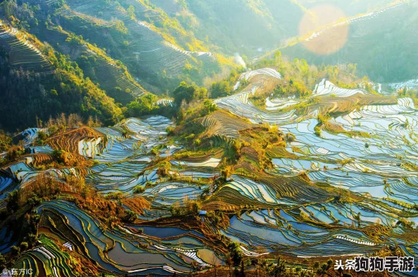 《穿越云海之巅：小田急箱根登山电车VR之旅》Steam震撼首发，本月启程探索自然奇观！