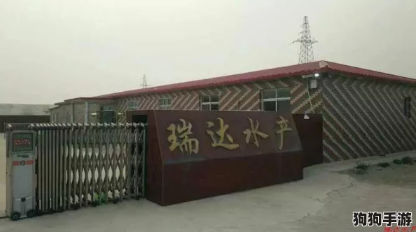 王者星耀：多维度解析排位赛制，细数荣耀之路的几重挑战！