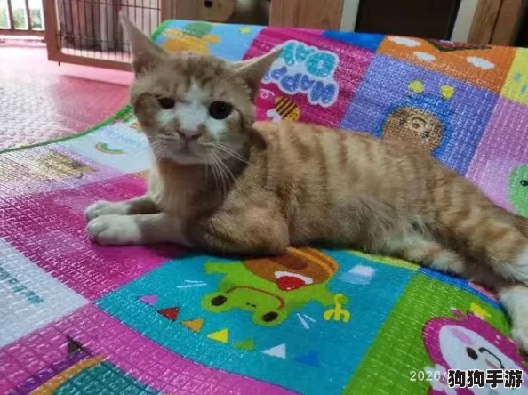 探秘《小森生活》：温馨领养猫咪，打造专属萌宠乐园秘籍！