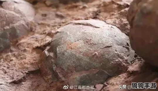 废土重生：文明重启废弃研究所生存秘籍，精选造家地点与发育攻略大公开！