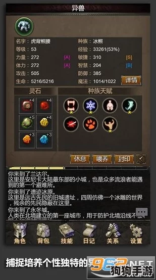 安尼卡宠物加速成长策略全揭秘：暗黑世界无尽轮回中的高效升级路径与内容概览