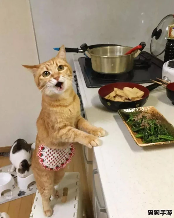 猫咪温馨小厨：高效攻略解锁前期财富积累，打造梦幻汤屋的秘诀分享