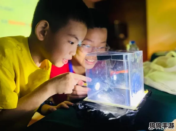 2024年探索科学奥秘新篇章：创意无限的科学游戏精选集，寓教于乐启迪未来智慧