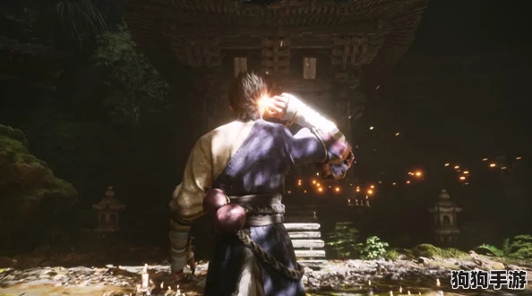 《黑神话：悟空》奇遇揭秘——九叶灵芝草高效采集与药用价值全攻略