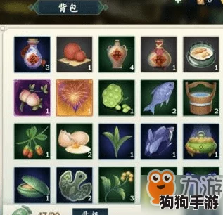 《剑网3指尖江湖》背包扩容全攻略：解锁高级容量，优化存储空间的有效升级技巧详解