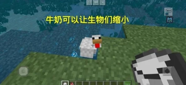 掌握我的世界：高效修复铁傀儡的实用技巧与步骤指南