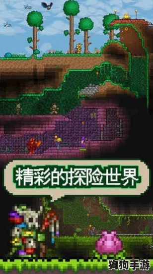 泰拉瑞亚2024年度独家尊享版：最新解锁礼包兑换码大放送，限时领取专属福利！