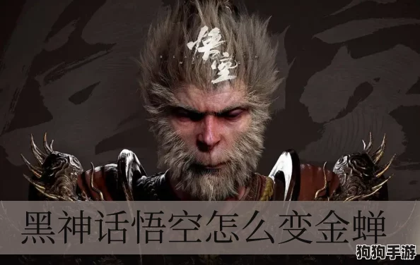 探寻黑神话悟空:揭秘火焰山翠云殿内,坐佛前静谧打坐蒲团的隐秘所在 探寻黑神话悟空:揭秘火焰山翠云殿内,坐佛前静谧打坐蒲团的隐秘所在