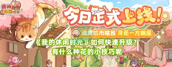 解锁高效休闲新境界：我的时光升级秘籍，快速充能日常乐趣与质量并进