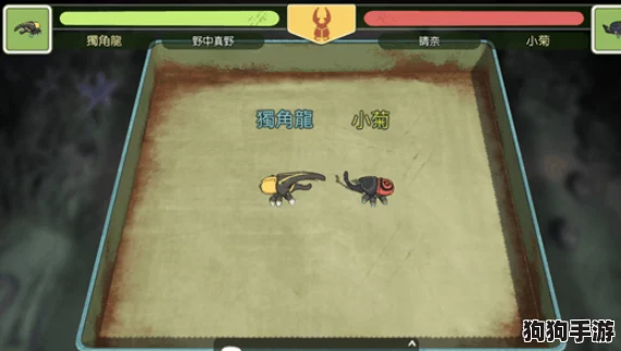 小森生活：精选甲虫搭配策略与全面生存攻略指南，助你悠然享受田园乐趣