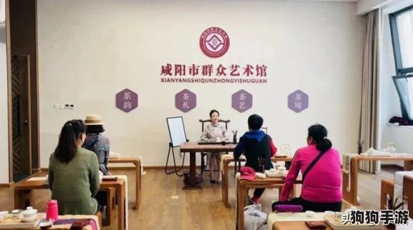 2023年必玩！精选实名认证热门游戏大赏，安全畅游新选择集锦
