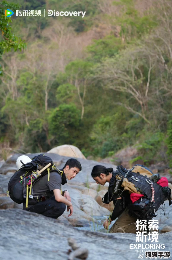 探秘蟹行奇遇：解锁寻宝线索，追踪隐世守林人的神秘踪迹