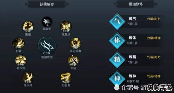 领主之路：80级飞跃指南——从零起步到巅峰的极速成长策略集
