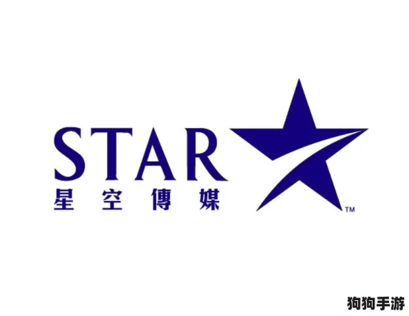星空传媒有限公司网站：用户点赞体验流畅，设计新颖引发热议，服务质量备受肯定