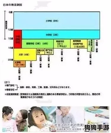 体内 精69XXXXXxHD日本：深度解析用户评价，揭示真实体验与独特见解
