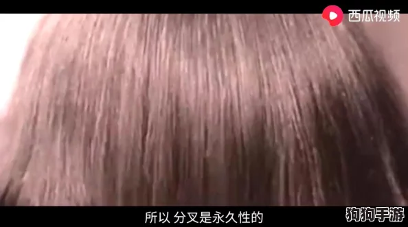 美发店的特点服务6：用户倾情分享的独特体验与个性化护理服务探索