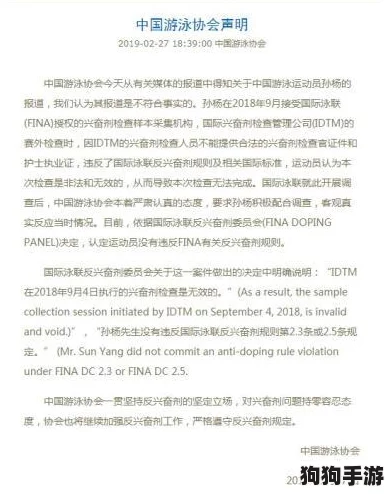 chinesesoⅠd老头兴奋：网友热评9.5分，揭示背后的精彩故事
