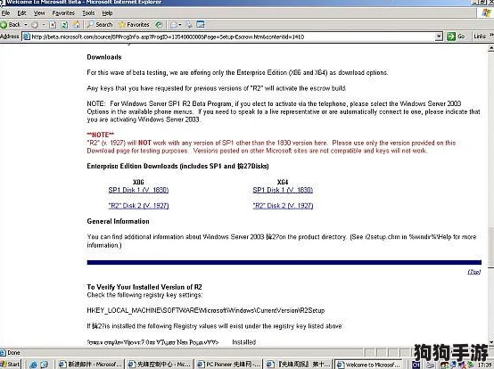 日本windowsserver9：用户反馈揭示其稳定性与性能优势，适合企业级应用的优选方案