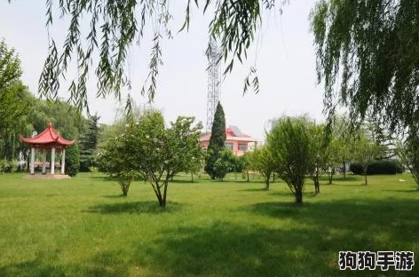 创新三角洲生态链：探索特色动植物制品高效营销与环保出售新策略