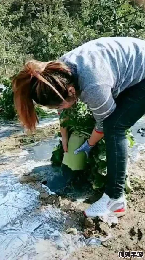女生迈开腿又疼又叫拔萝卜，竟然引发了全网热议的奇葩现象！