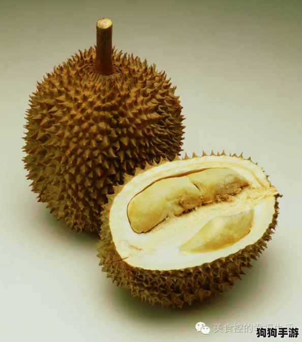 www榴莲视频9.1 - 解锁甜蜜秘境,品尝热带激情果实,一起来感受多汁快感