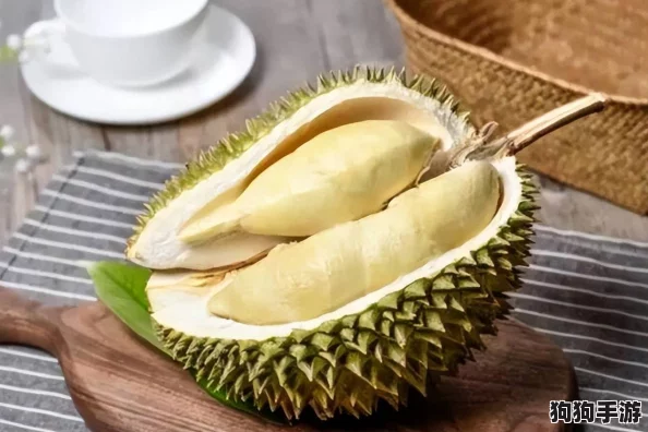 www榴莲视频9.1 - 解锁甜蜜秘境,品尝热带激情果实,一起来感受多汁快感
