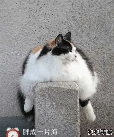 51吃瓜短剧胖猫:解锁隐藏剧情,揭秘猫界八卦,一起来当吃瓜达人! 51吃瓜短剧胖猫:解锁隐藏剧情,揭秘猫界八卦,一起来当吃瓜达人!
