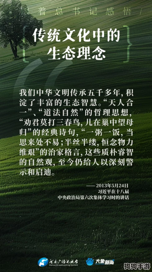 田福和母亲在芦苇中的对话：感悟生命的真谛与自然的和谐之美