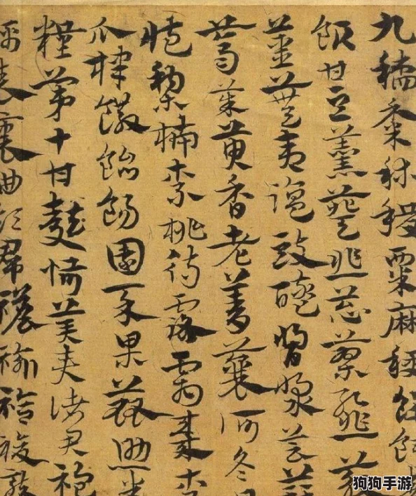 仕途巅峰：一品官员与红颜知己并蒂生辉，深度剖析门客表中佳人对应的独特助力体系