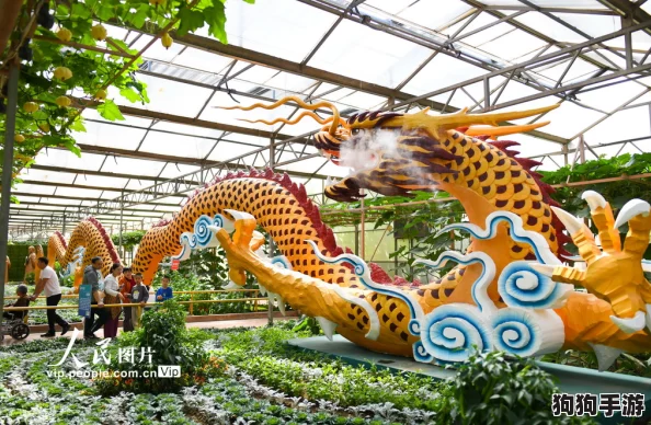 2024年必玩蔬菜主题游戏精选：探索趣味盎然的绿色世界，热门合集引领休闲新风尚