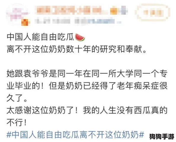 91吃瓜中心：网友热评与高分推荐，最新最火的瓜等你来尝