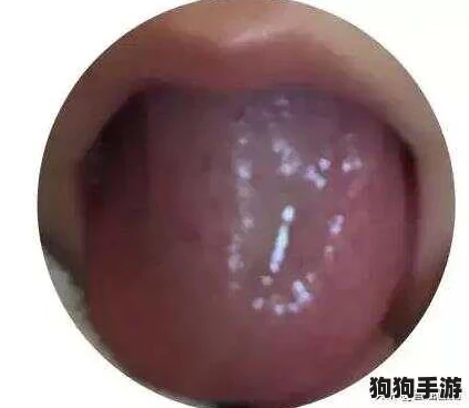 舌头在幽谷里滑来滑去怎么回事?解密奇异现象背后的科学与心理因素 舌头在幽谷里滑来滑去怎么回事?解密奇异现象背后的科学与心理因素