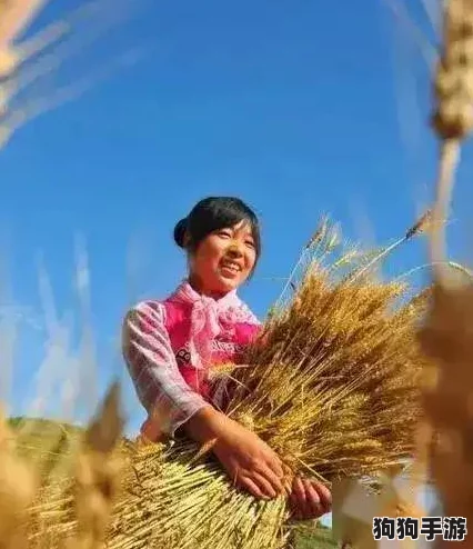 韩国朋友家的麦子：感受乡村生活的魅力与自然之美