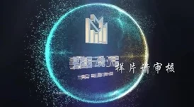 麻花星空无限传媒：引领潮流的创意内容与数字营销新风尚