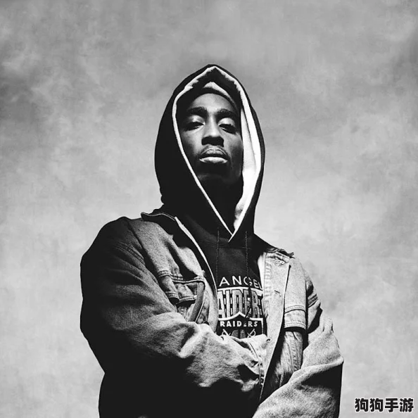 黑人双人RAPPER角色背景:音乐、文化与社会影响的深度剖析与思考 黑人双人RAPPER角色背景:音乐、文化与社会影响的深度剖析与思考
