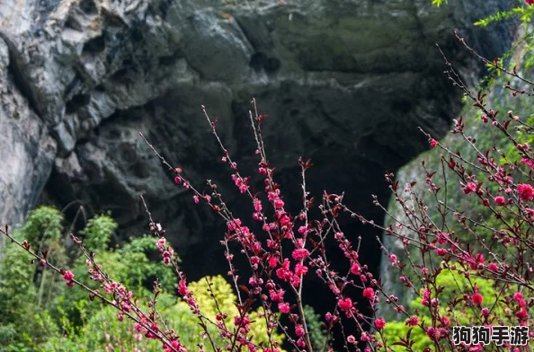 桃花仙洞芳草萋萋水潺潺，恍若人间仙境，尽享自然之美与心灵的宁静