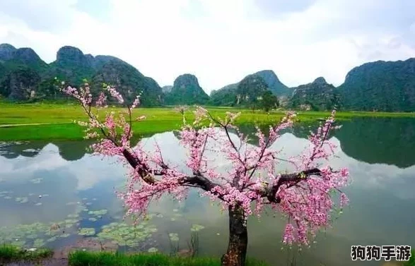 桃花仙洞芳草萋萋水潺潺，恍若人间仙境，尽享自然之美与心灵的宁静