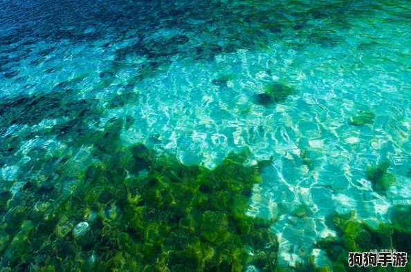铜铜铜好多水,畅游在清澈的湖泊与神秘的海洋之间 铜铜铜好多水,畅游在清澈的湖泊与神秘的海洋之间