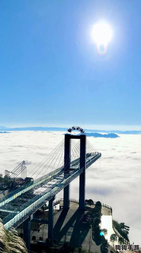 探索铸仙之巅：揭秘最强角色阵容，谁将主宰仙界风云榜？