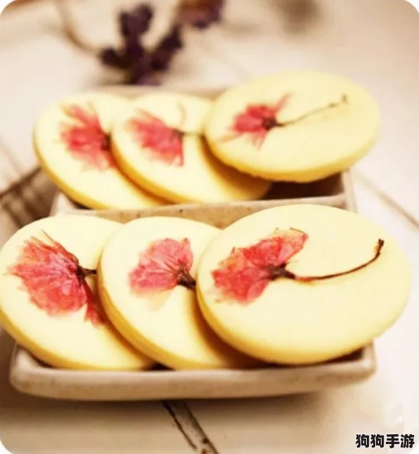 日本xxxxxlx68：畅游樱花季，感受和风魅力与美食盛宴