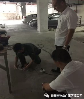 粉嫩沟厕零距离拍大神,真实体验与用户评价完美结合,带你领略全新视角的互动魅力! 粉嫩沟厕零距离拍大神,真实体验与用户评价完美结合,带你领略全新视角的互动魅力!