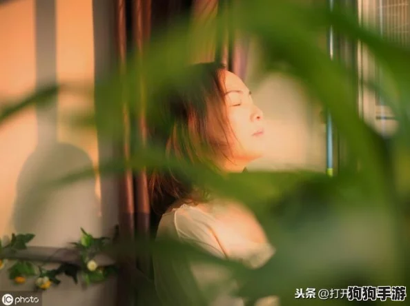 寂寞空庭春欲晚mv惜春词，感受孤独与思念交织的美丽旋律与情感深度