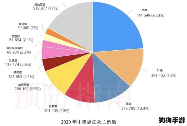 美国欧洲日本中国的文化差异：从饮食习惯到社交礼仪的深度对比与分析
