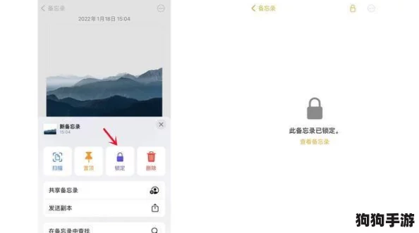 抖阴怎么下载？用户分享实用技巧与下载步骤详解