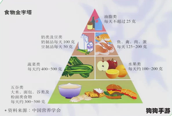 钙g同2023:健康饮食与运动结合,提升生活质量的全新指南 钙g同2023:健康饮食与运动结合,提升生活质量的全新指南