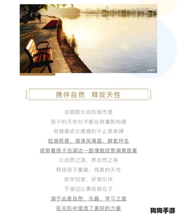 老卫和淑：在平淡生活中藏着的温暖，这段关系教会了我们什么是理解与包容