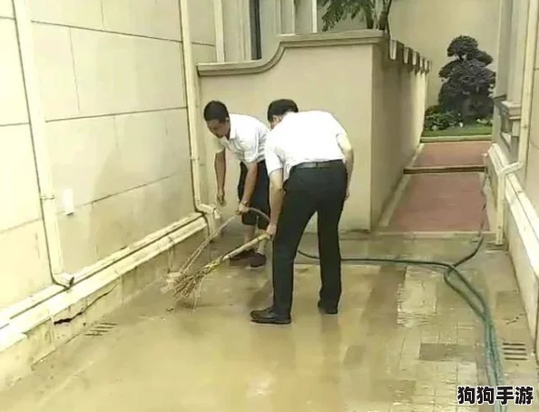 JAPAN盗摄peeing沟厕：揭示日本公共卫生间的隐秘角落与文化冲突