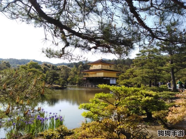 怡春院日本怡春院：感受传统与现代交融的独特魅力，畅游文化之旅