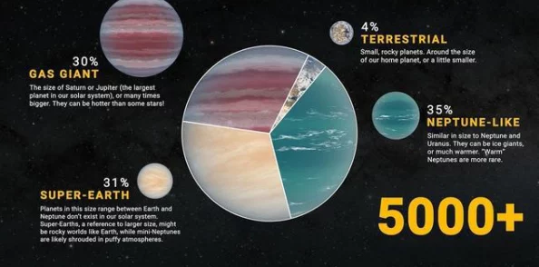 探索创新星球经济：全面解析我们星球上的独特交易商品策略与实操方法