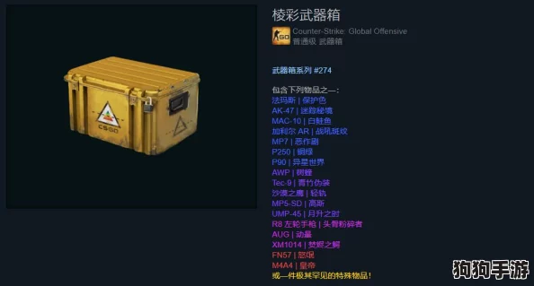 暴躁少女csgo人：AWP狙击枪在手，谁敢挑战我的一枪爆头？